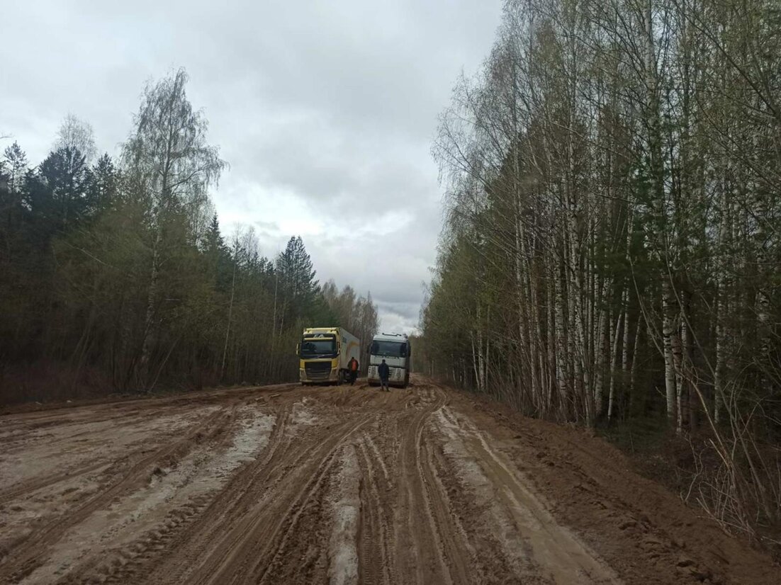 Дорога Усть Вага ядриха последние новости